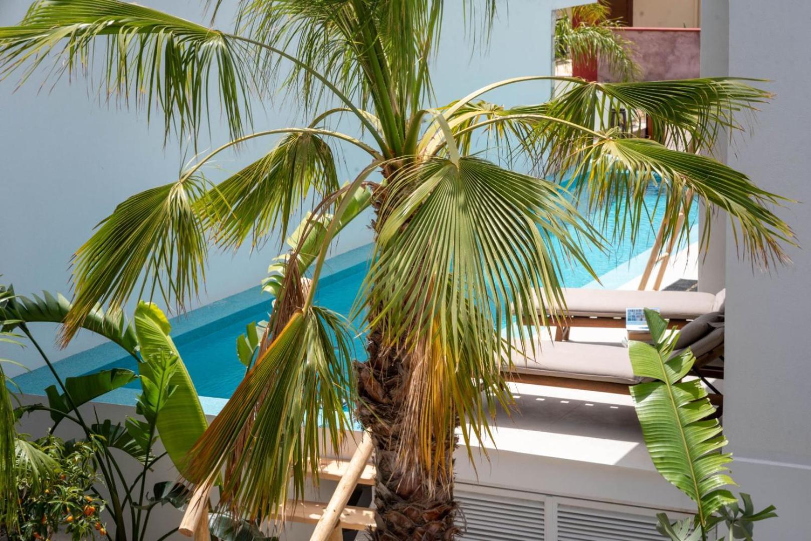 D Palm Premium Living - Kalathas, Chania Chania  Exterior photo